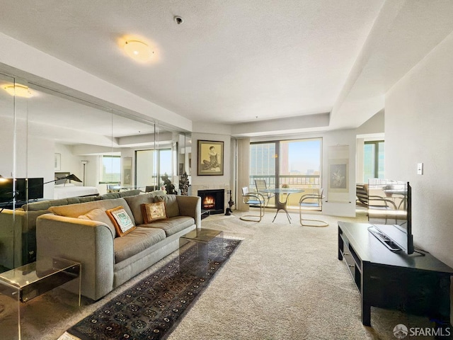 601 Van Ness Ave Unit 1047, San Francisco, CA 94102 - living room with carpet flooring and a lit fireplace