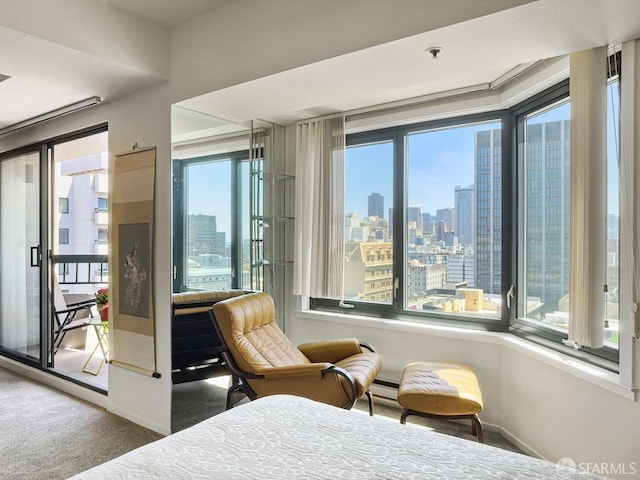 601 Van Ness Ave Unit 1047, San Francisco, CA 94102 - bedroom featuring carpet floors, a skyline view, and a baseboard radiator