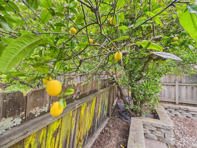 65 Danton St, San Francisco, CA 94112 - exterior view of a fenced backyard