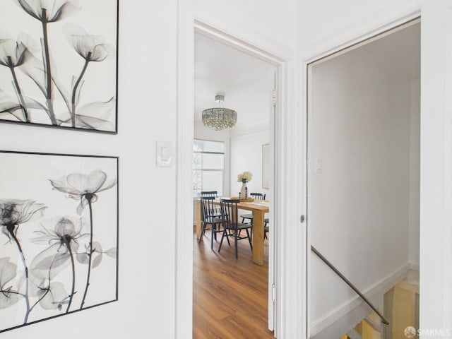 65 Danton St, San Francisco, CA 94112 - hallway featuring wood finished floors and an upstairs landing
