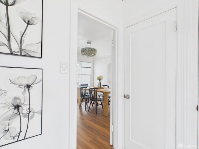 65 Danton St, San Francisco, CA 94112 - hall featuring wood finished floors
