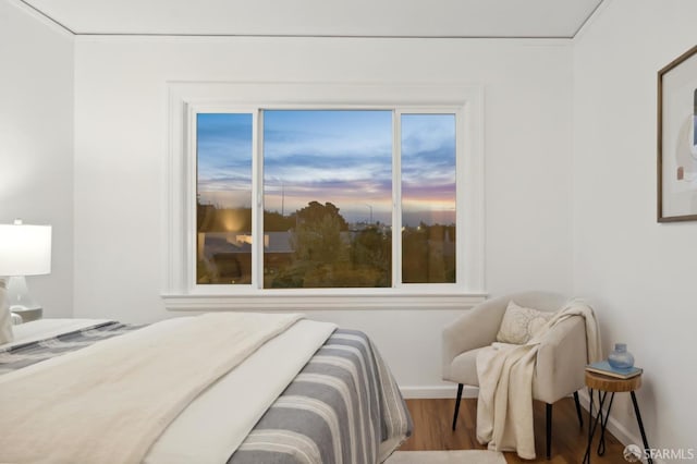 65 Danton St, San Francisco, CA 94112 - bedroom featuring baseboards and wood finished floors