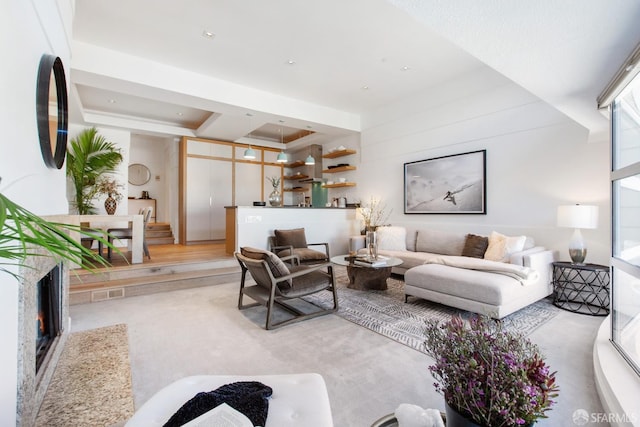 living area featuring a raised ceiling and visible vents