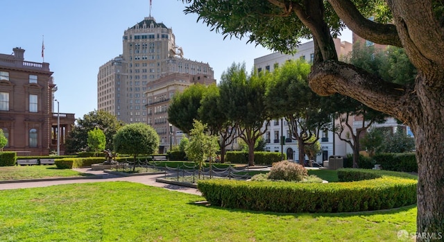 view of property's community featuring a yard