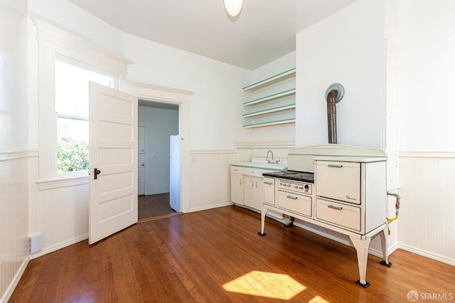 kitchen featuring hardwood / wood-style floors