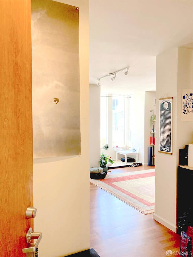 81 Frank Norris St Unit 501, San Francisco, CA 94109 - hallway with track lighting and wood finished floors