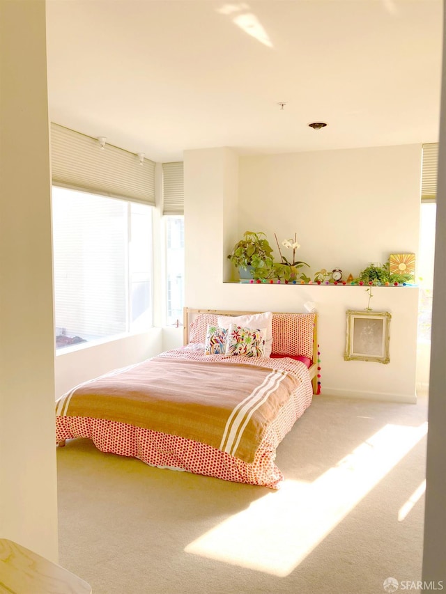 81 Frank Norris St Unit 501, San Francisco, CA 94109 - view of carpeted bedroom
