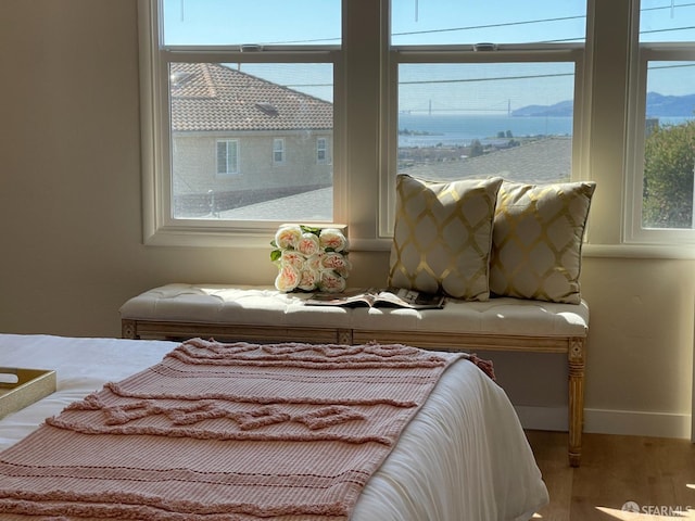 bedroom featuring multiple windows, baseboards, and light wood-type flooring