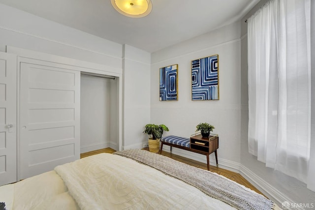 bedroom featuring wood-type flooring and a closet