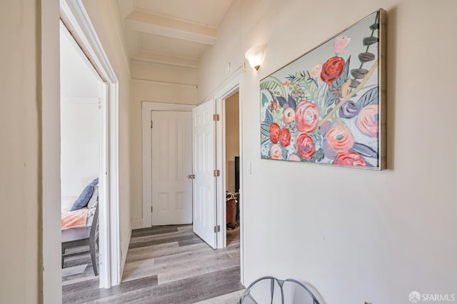 3233 Ellis St, Berkeley, CA 94703 - corridor with wood finished floors