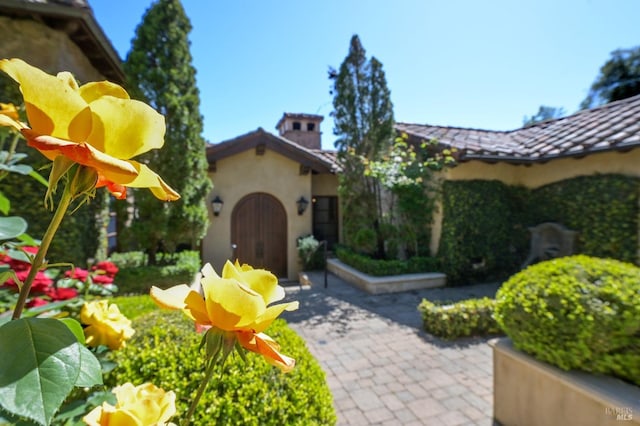 6250 Acorn Hill Ln, Santa Rosa, CA 95403 - photo 9