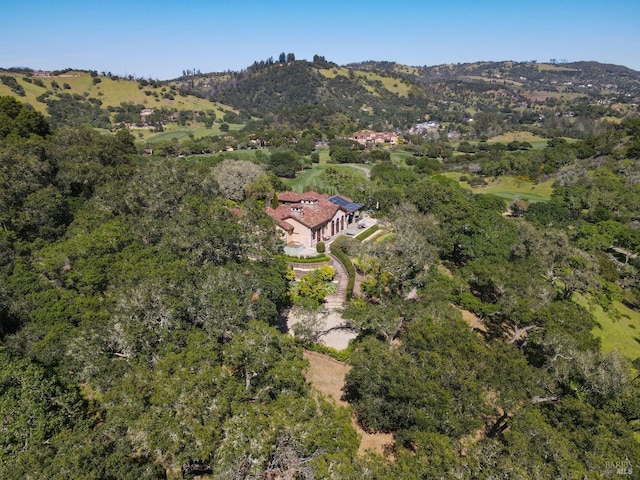 6250 Acorn Hill Ln, Santa Rosa, CA 95403 - photo 92
