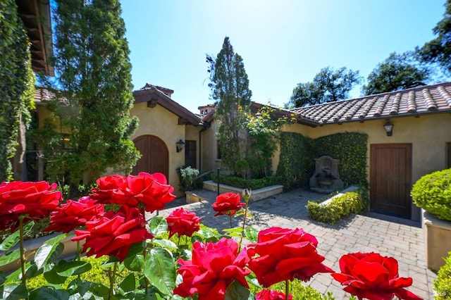 6250 Acorn Hill Ln, Santa Rosa, CA 95403 - photo 8