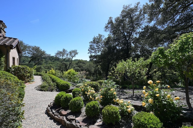 6250 Acorn Hill Ln, Santa Rosa, CA 95403 - photo 61