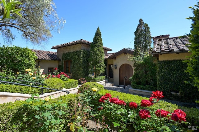 6250 Acorn Hill Ln, Santa Rosa, CA 95403 - photo 6
