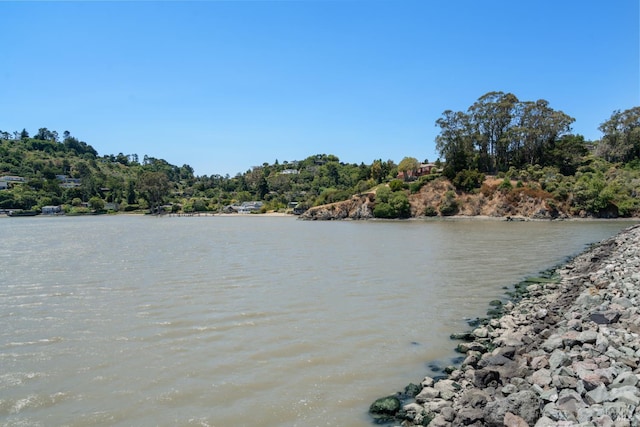 79 Trinidad Dr, Tiburon, CA 94920 - photo 35