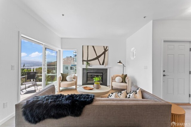 living area featuring a premium fireplace