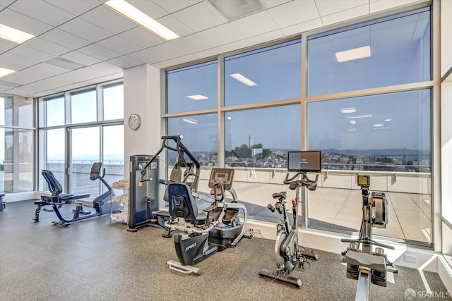 gym featuring a drop ceiling and a wall of windows