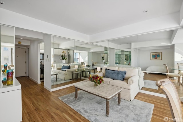 living room featuring wood-type flooring