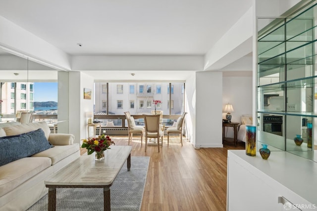 living room with light hardwood / wood-style floors