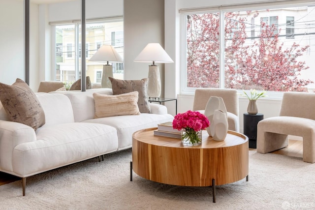 view of carpeted living area