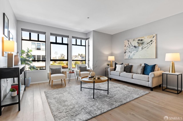 living room with light hardwood / wood-style flooring