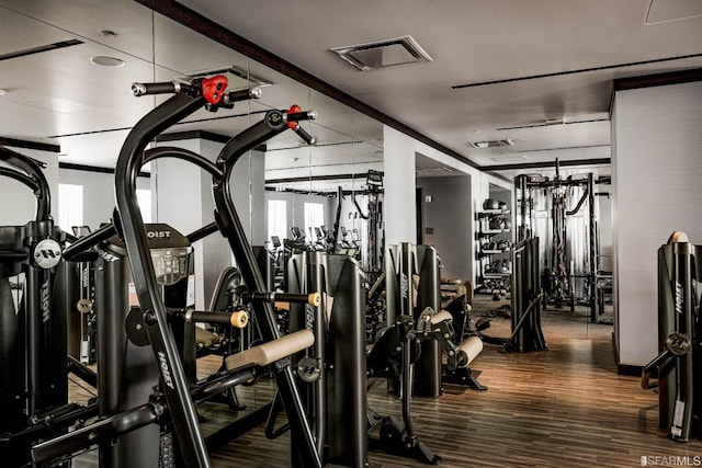 gym featuring hardwood / wood-style flooring