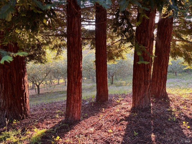 788 Ferguson Rd, Sebastopol, CA 95472 - view of gate