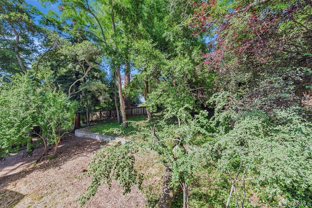 4444 Clarewood Dr, Oakland, CA 94618 - photo 50