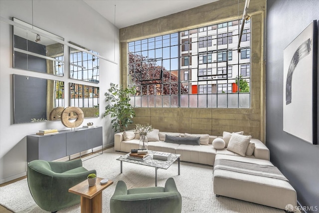 living room with a healthy amount of sunlight and a high ceiling