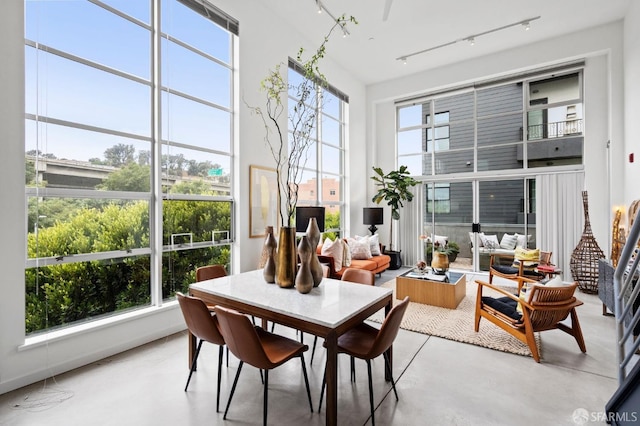 sunroom featuring track lighting