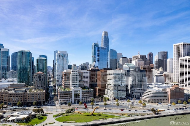 338 Main St Unit 6E, San Francisco, CA 94105 - skyline view