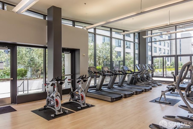 exercise room featuring a high ceiling, expansive windows, healthy amount of natural light, and wood finished floors