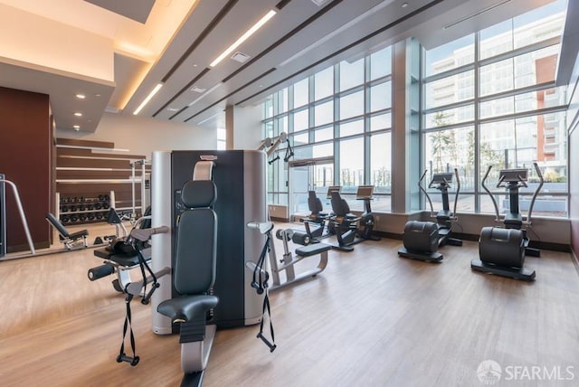 workout area with a healthy amount of sunlight, light hardwood / wood-style floors, and a towering ceiling