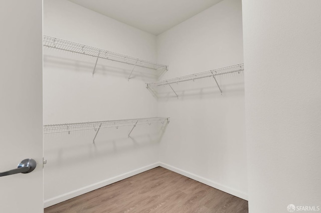 walk in closet with hardwood / wood-style floors