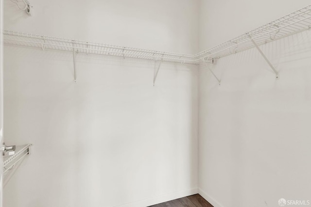 spacious closet featuring dark wood-type flooring