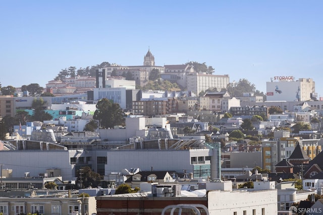 2332-2334 California St, San Francisco, CA 94115 - photo 52