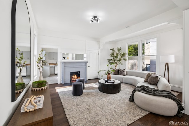 2332-2334 California St, San Francisco, CA 94115 - photo 7