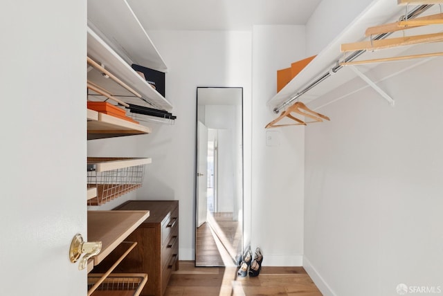 spacious closet with wood finished floors