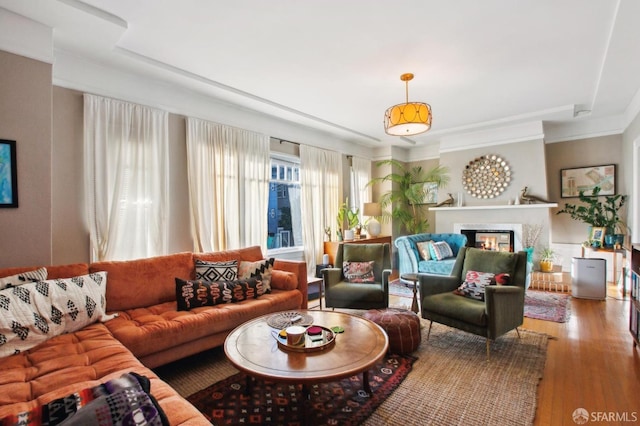 living room with wood-type flooring