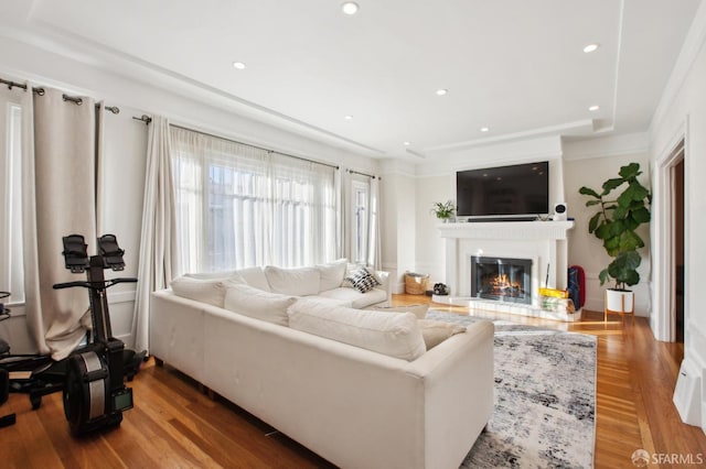 living room featuring a tiled fireplace and hardwood / wood-style flooring