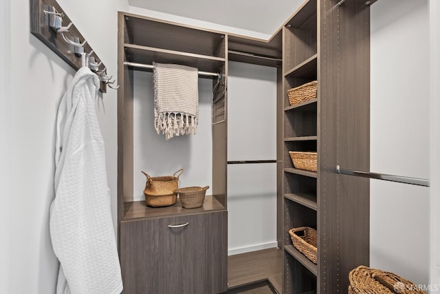 spacious closet featuring dark hardwood / wood-style flooring