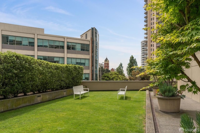1388 Gough St Unit 1001, San Francisco, CA 94109 - photo 57