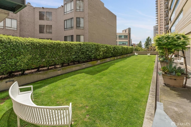 1388 Gough St Unit 1001, San Francisco, CA 94109 - photo 56