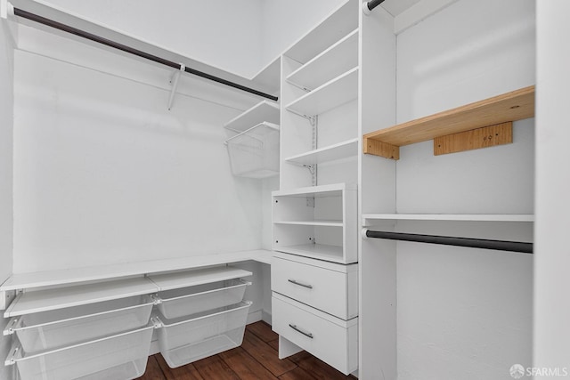 spacious closet featuring dark wood-style floors