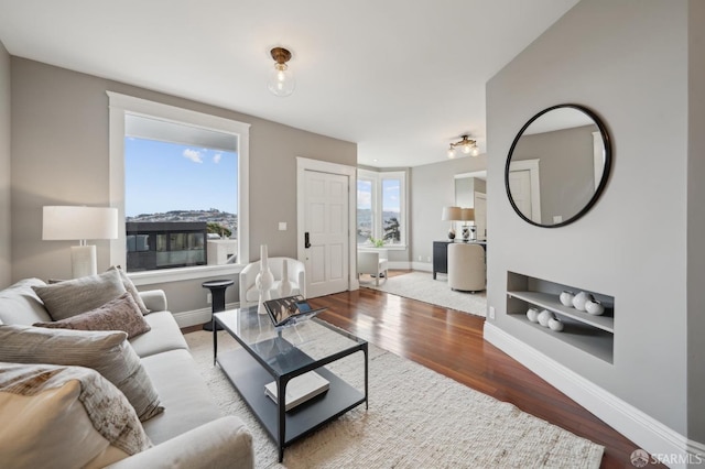 living room featuring hardwood / wood-style flooring and built in shelves