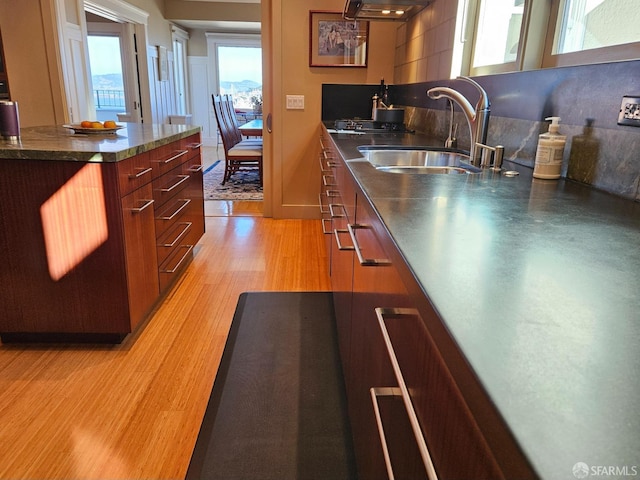 kitchen with light hardwood / wood-style flooring, plenty of natural light, and sink