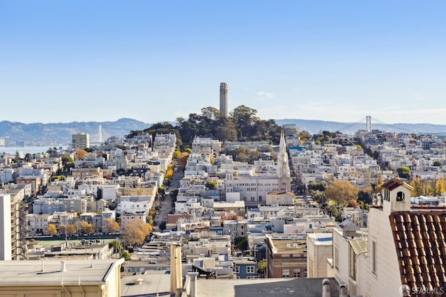 property's view of city featuring a mountain view