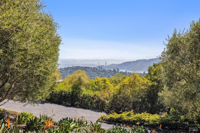 83 Mount Tiburon Rd, Tiburon, CA 94920 - view of mountain backdrop