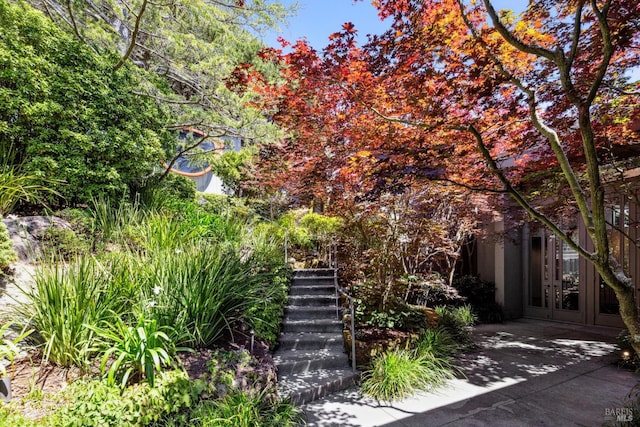 83 Mount Tiburon Rd, Tiburon, CA 94920 - view of property hidden behind natural elements featuring french doors and stairway